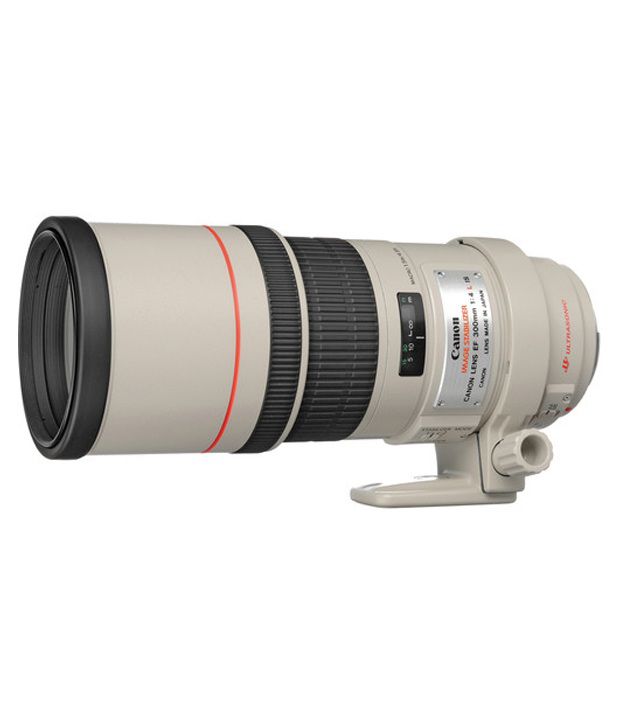 Canon EF 300mm f/4L IS USM Lens